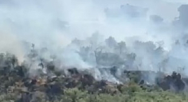 Çay Bağlarındaki yangına müdahale sürüyor