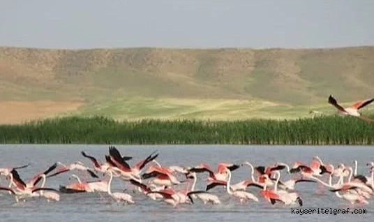 Kırşehirliler Seyfe gölü için ayaklandı