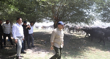 Milletvekili Cıngı, mandacılık için çabalarını sürdürüyor