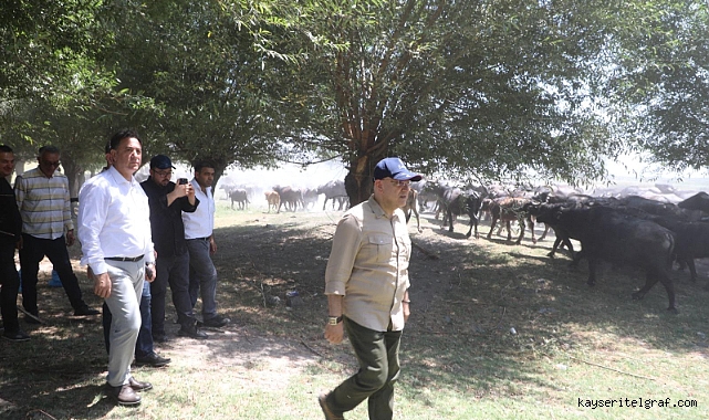 Milletvekili Cıngı, mandacılık için çabalarını sürdürüyor