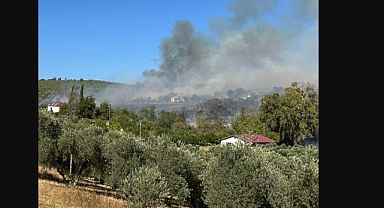 Osmaniye'deki orman yangınında bir işçi, şehit oldu