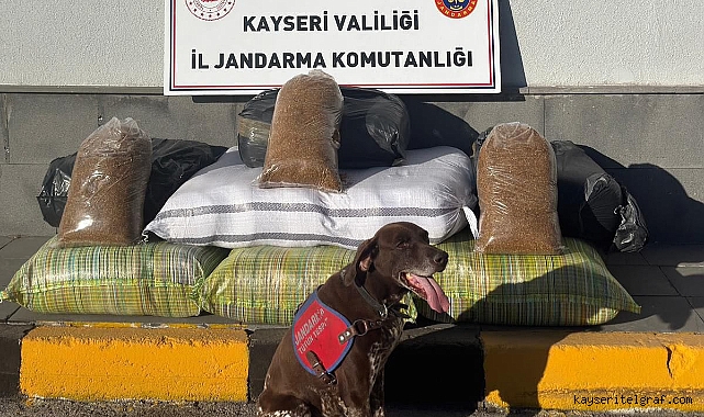 Yolcu otobüsünde 230 kilogram kaçak tütün ele geçirildi