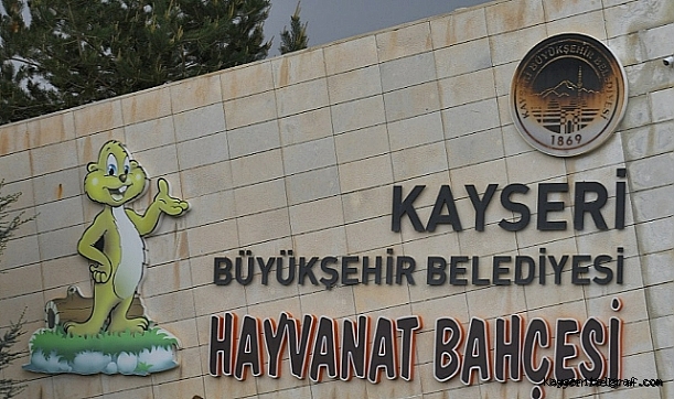 'Anadolu Harikalar Diyarı Hayvanat Bahçesi' yarın ücretsiz