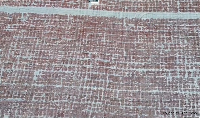 Yeşilhisar’da kurutmalık domates hasadında sona gelindi