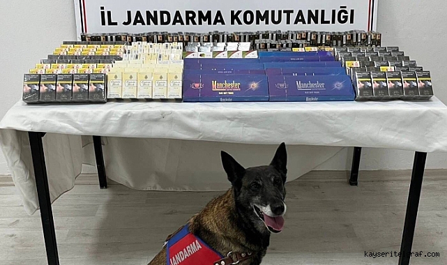 Bir tırda 500 paket kaçak sigara ele geçirildi