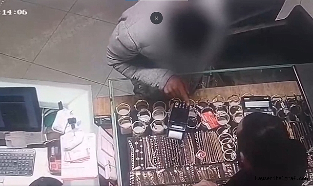 Kayseri'de kedi maması yardımı vaadiyle dolandırıcılık