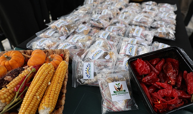 Kocasinan Belediyesi binlerce ata tohumunu ücretsiz dağıttı