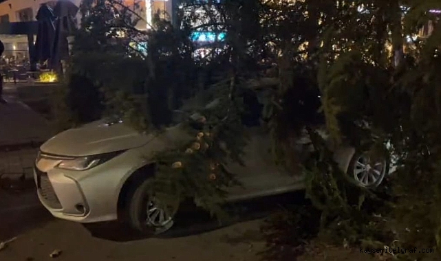 Talas'ta ağaç otomobilin üzerine devrildi