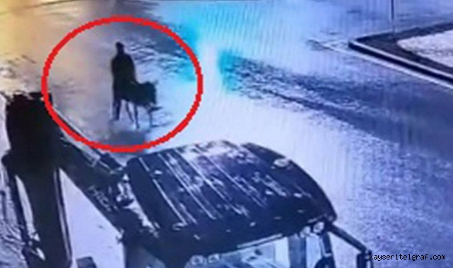 Eşekli kuyumcu hırsızının ifadesi ortaya çıktı