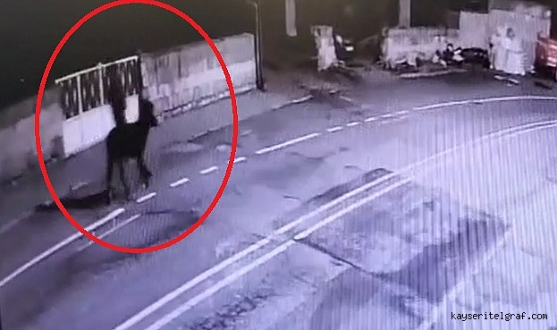 Forklift ile kuyumcu soyduktan sonra eşekle kaçan zanlı yakalandı