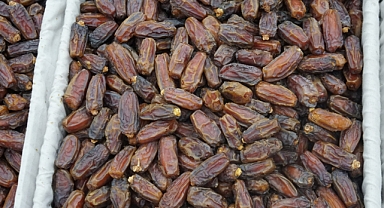 Ramazan öncesi hurma fiyatları 