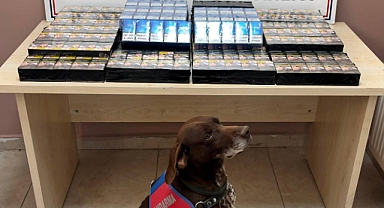 570 paket kaçak sigara ele geçirildi