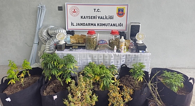 Evinde uyuşturucu yetiştiren zanlı gözaltına alındı