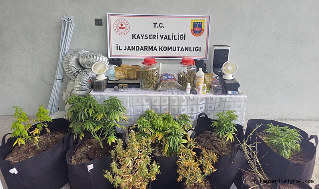 Evinde uyuşturucu yetiştiren zanlı gözaltına alındı