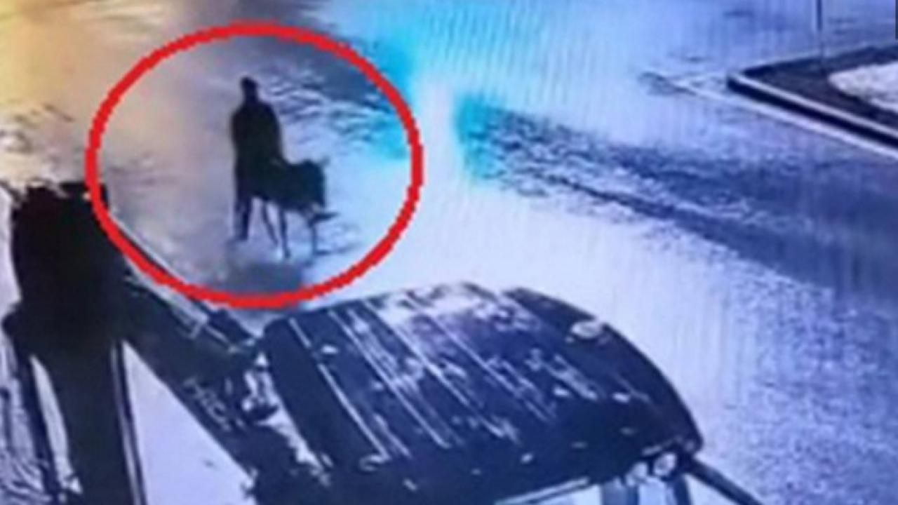 Forkliftle gelip, eşekle kaçan hırsız hakkında iddianame düzenlendi