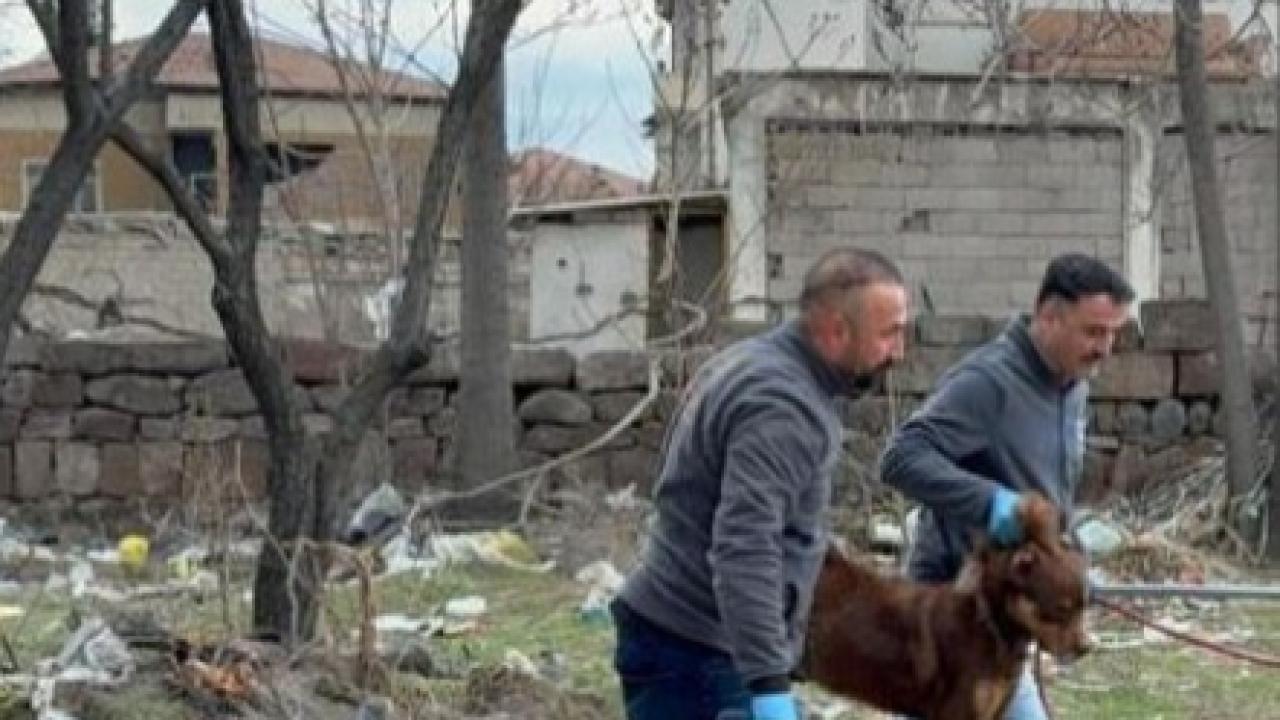 Kayseri'de köpeğin saldırısına uğrayan çocuk ağır yaralandı