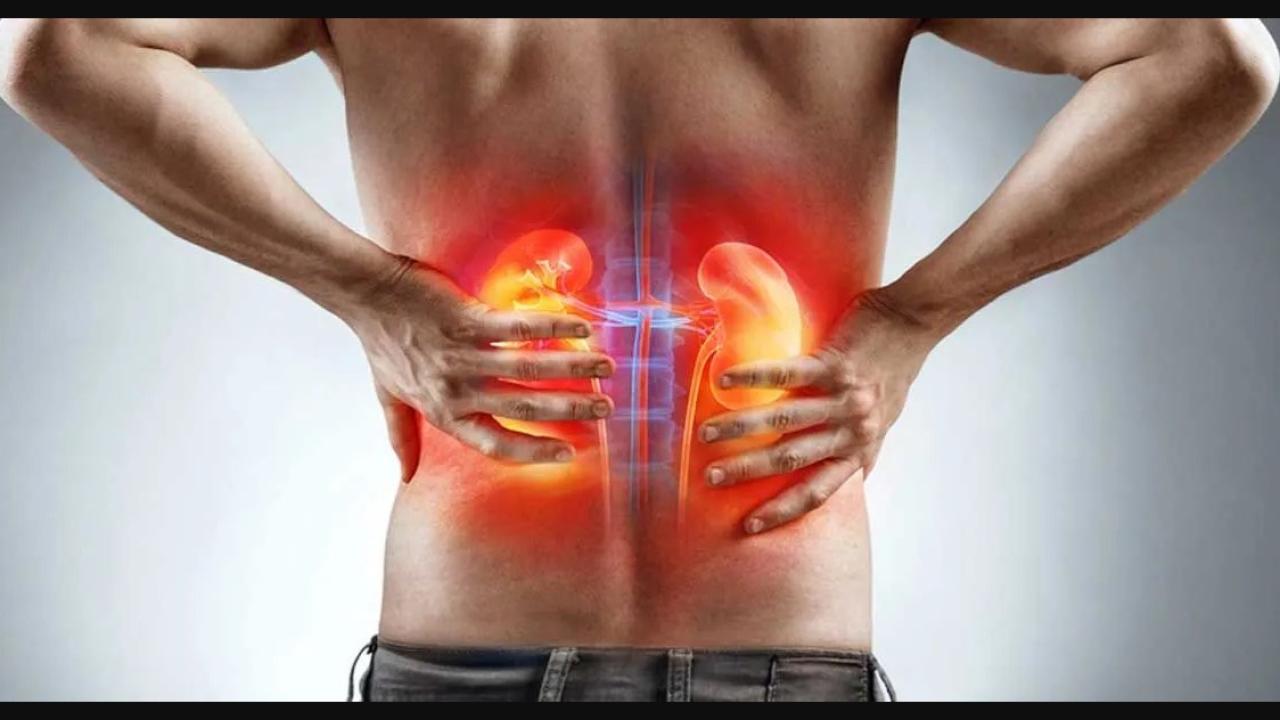 Türkiye'de her 7 kişiden biri böbrek hastası