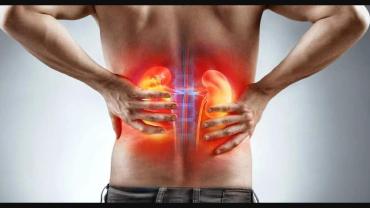 Türkiye'de her 7 kişiden biri böbrek hastası