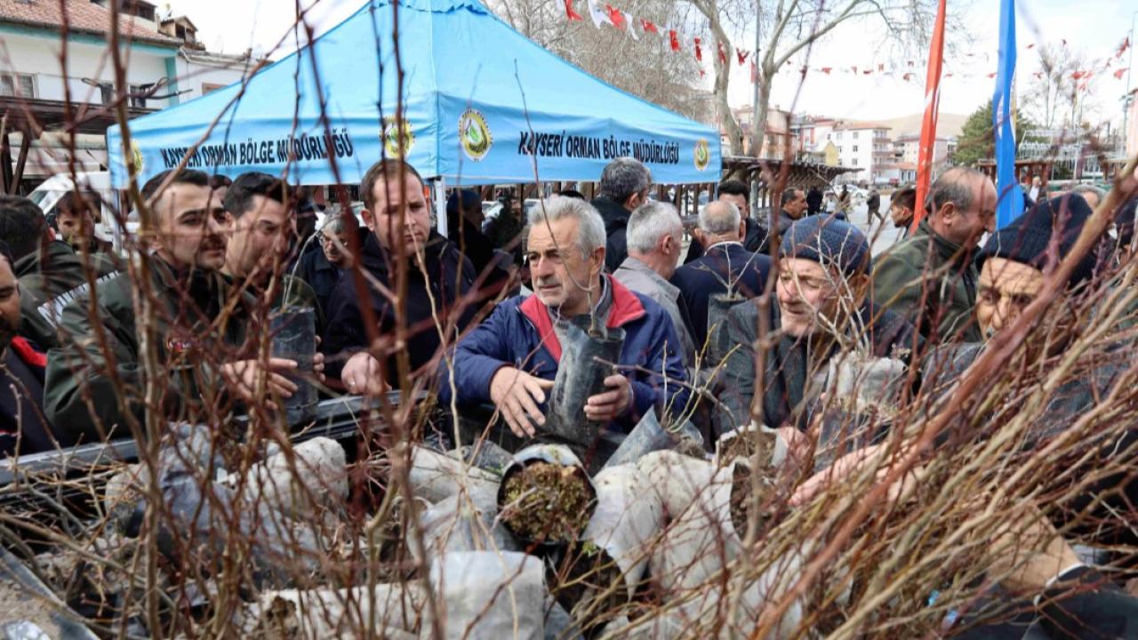 Yahyalı'da vatandaşlara fidan dağıtıldı