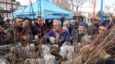Yahyalı'da vatandaşlara fidan dağıtıldı