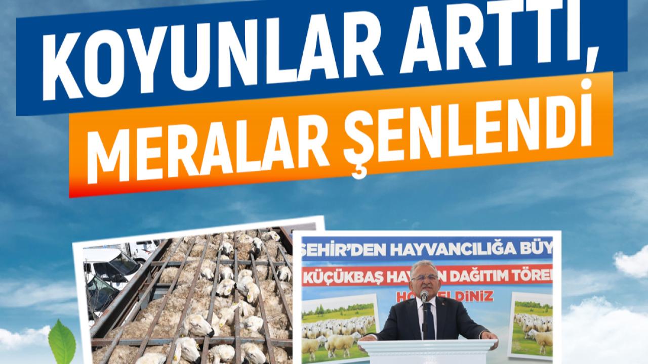 Büyükşehir'den kapsamında 5 yıl önce dağıtılan 4 bin 300 koyunla 150 binlik artış sağlandı