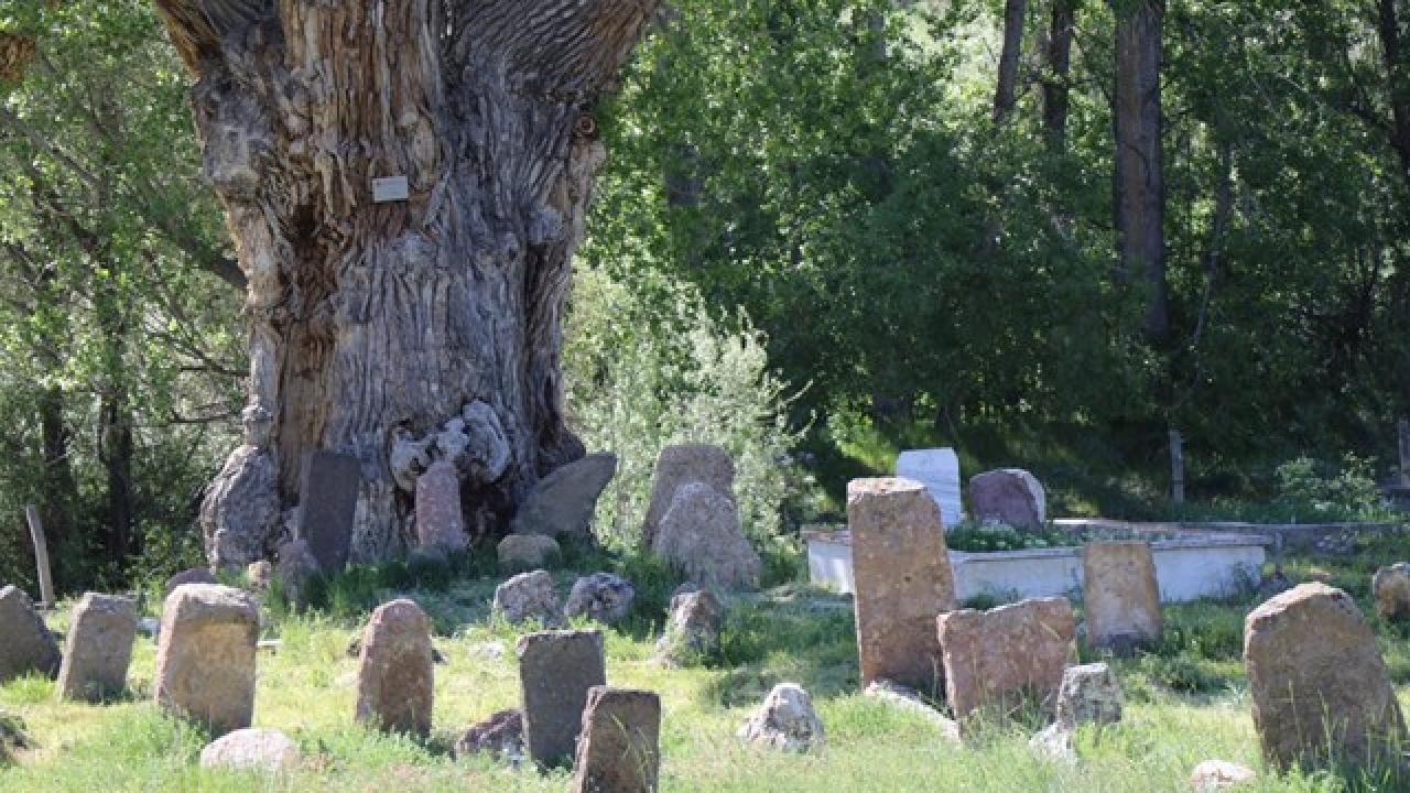 Develi'deki mezarlıkta 5 Türk boyunun mezar taşları bulunuyor