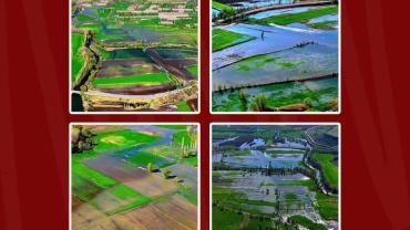 Ersoy: "800 dekar tarım arazisi sular altında"