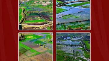 Ersoy: "800 dekar tarım arazisi sular altında"