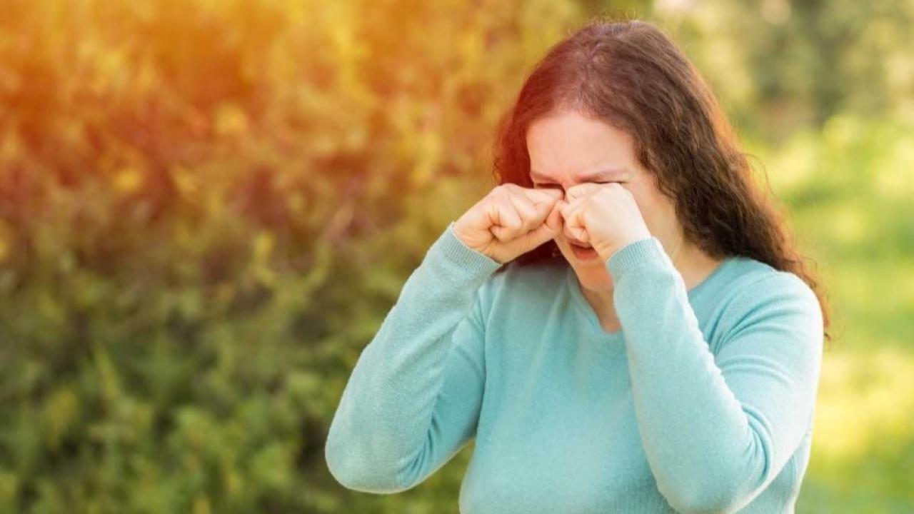 Göz alerjilerinin yaklaşık yarısını saman nezlesi oluşturuyor
