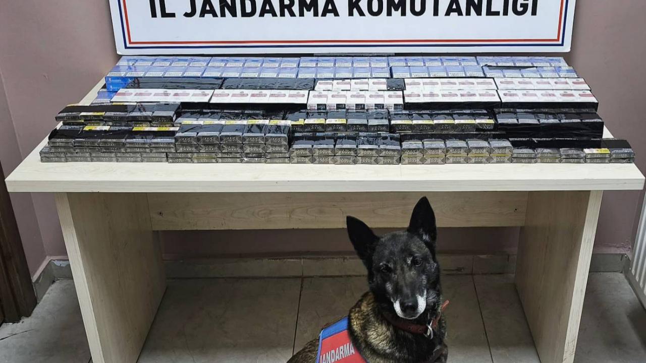 İki ayrı tırda 525 paket kaçak sigara ele geçirildi