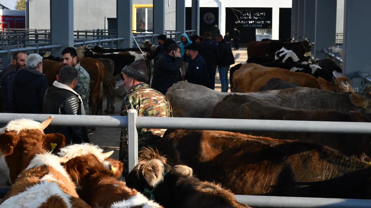 Kayseri Ticaret Borsası kurbanlık tavsiye fiyatlarını açıklandı