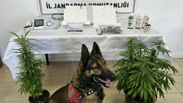 Kayseri’de uyuşturucu operasyonu