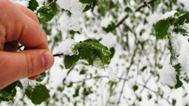 Meteorolojiden Kayseri’ye zirai don uyarısı