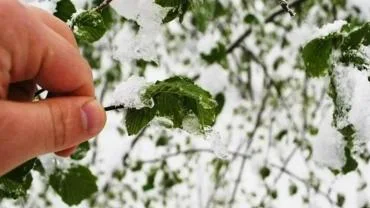 Meteorolojiden Kayseri’ye zirai don uyarısı