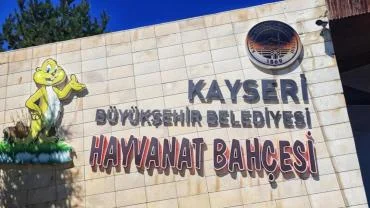 Hayvanat bahçesi yarın ücretsiz olacak