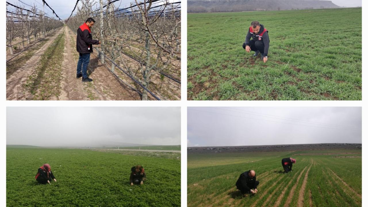 Zirai don Kayseri’yi etkilemedi